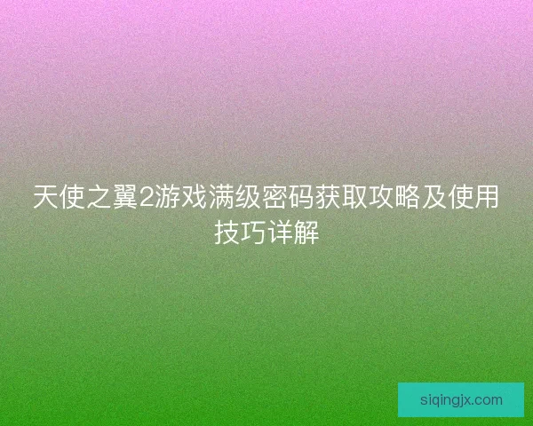 天使之翼2游戏满级密码获取攻略及使用技巧详解