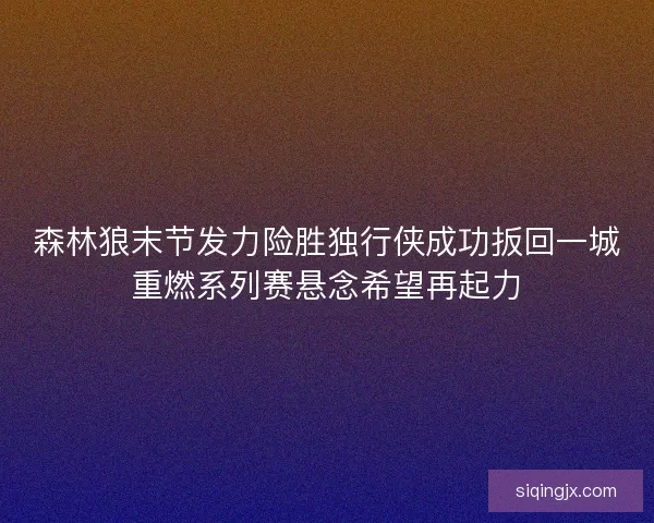 森林狼末节发力险胜独行侠成功扳回一城重燃系列赛悬念希望再起力